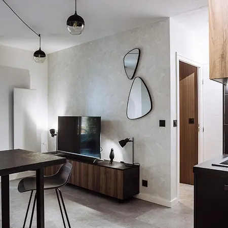 Henri Iv - 2 Pieces - Parking Gratuit Apartment Billere